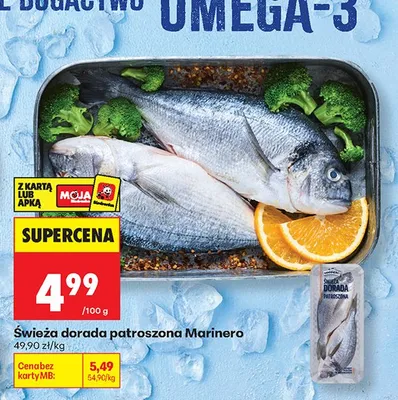Świeża dorada patroszona Marinero promocja w Biedronka