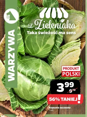 Kapusta wczesna polska promocja w Netto