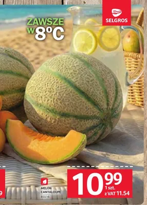 Melon Cantaloupe promocja w Selgros