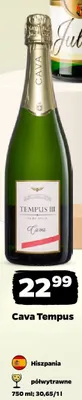 Wino Cava Tempus półwytrawne promocja w Netto