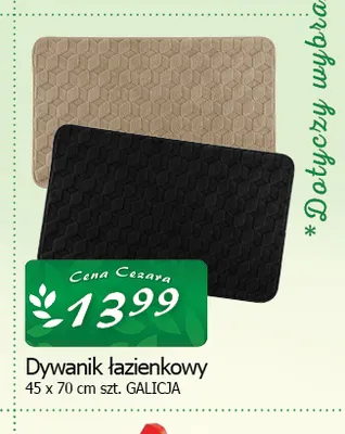 Dywanik łazienkowy 45x70 cm Galicja promocja w CEZAR Delikatesy