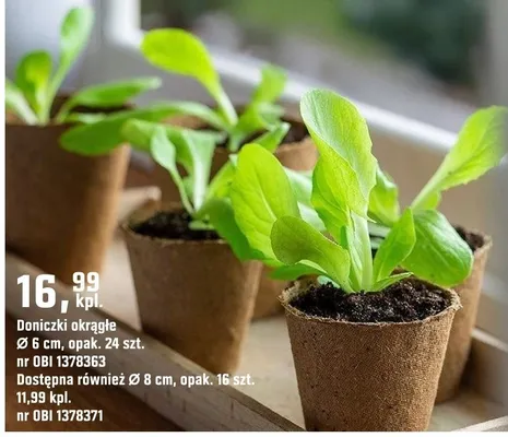 Doniczki okrągłe promocja w OBI