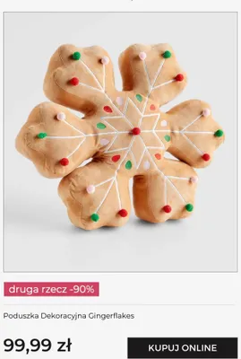 Poduszka dekoracyjna Gingerflakes Home & You promocja w home&you