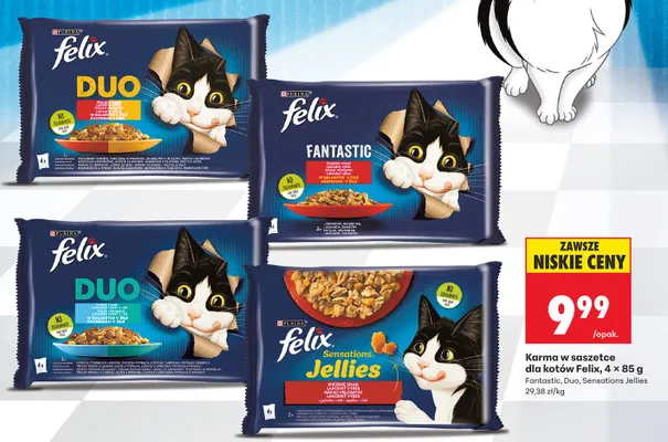 Karma dla kotów Purina Felix Fantastic Wiejskie smaki w galaretce 4-pak 85g promocja w Biedronka