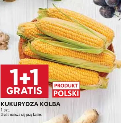 Kukurydza kolba promocja w Stokrotka
