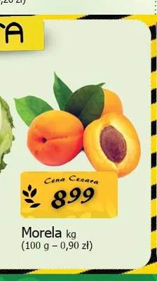 Morela promocja w CEZAR Delikatesy