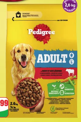 Sucha karma dla psa z wołowiną Pedigree promocja w Dino
