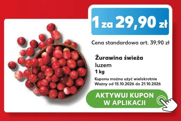 Żurawina świeża promocja w Kaufland
