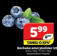 Borówka amerykańska Hiszpania promocja w Delfin