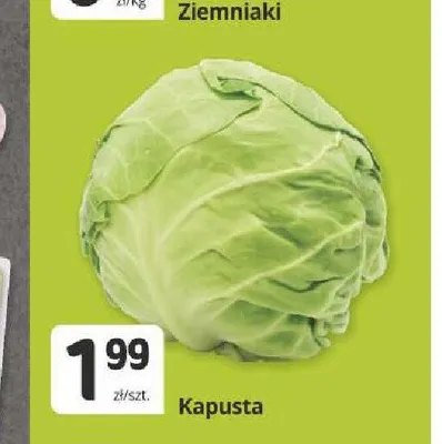 Kapusta promocja w Marketvita
