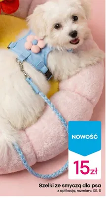 Szelki ze smyczą dla psa z aplikacją promocja w Pepco