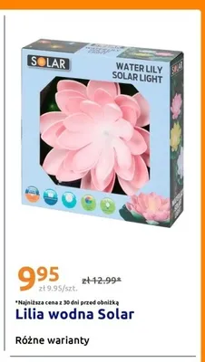 Lilia wodna Solar promocja w Action