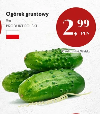 Ogórek gruntowy promocja w Market Point