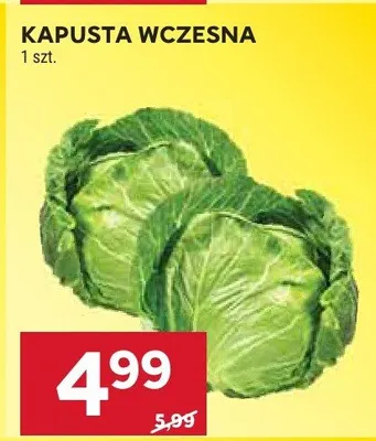 Kapusta wczesna promocja w Stokrotka
