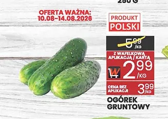Ogórek gruntowy promocja w Wafelek