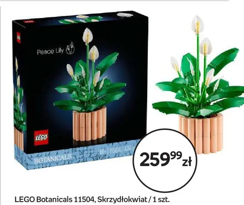 Klocki LEGO Botanicals 11504 Skrzydłokwiat promocja w Empik