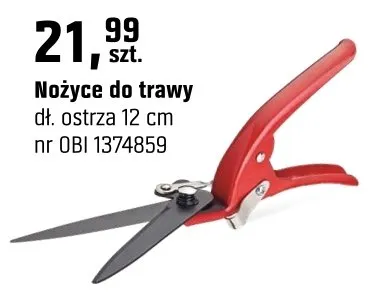 Nożyce do trawy promocja w OBI