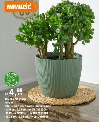 Osłonka Magnolia Jumper Ø 11 cm promocja w OBI