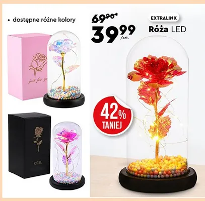 Róża LED promocja w Biedronka Home