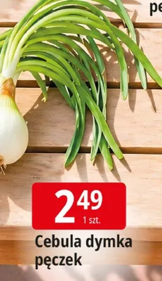 Cebula dymka pęczek promocja w Leclerc