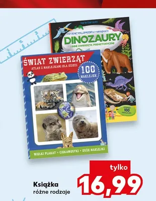 Książka Dinozaury promocja w Kaufland