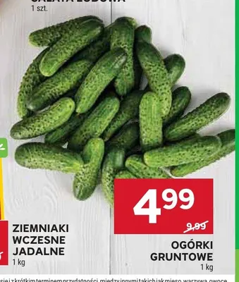 Ogórki gruntowe promocja w Stokrotka