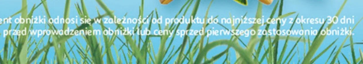 Gazetka 30 Lat Hipermarket Auchan, strona 13 promocja w Auchan