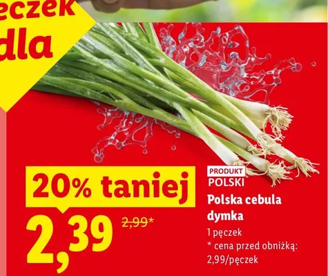 Cebula dymka polska promocja w Lidl