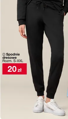 Spodnie dresowe damskie Rozm. S-XXL promocja w Woolworth