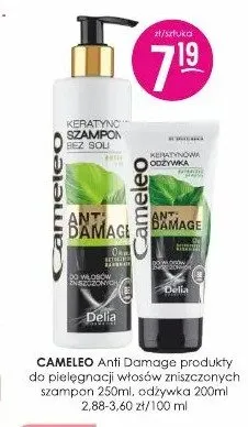Odżywka do włosów Cameleo Anti Damage promocja w Drogerie Jasmin