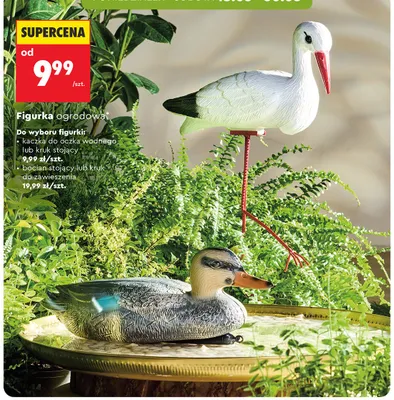 Figurka ogrodowa kaczka do oczka wodnego promocja w Biedronka