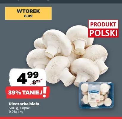 Pieczarki białe promocja w Netto
