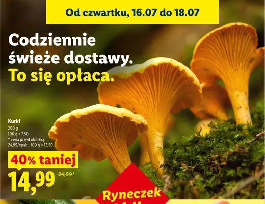 Kurki Ryneczek Lidla promocja w Lidl