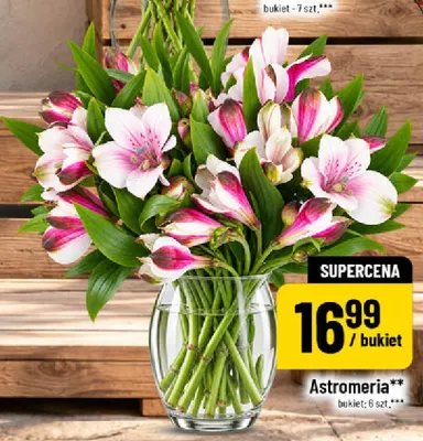 Astromeria bukiet 6-pak promocja w POLOmarket