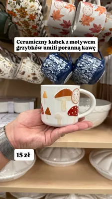Kubek ceramiczny z motywem grzybków promocja w Pepco