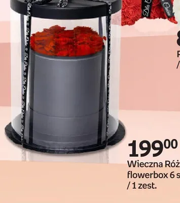 Wieczna Róża flowerbox 6 szt. promocja w Empik