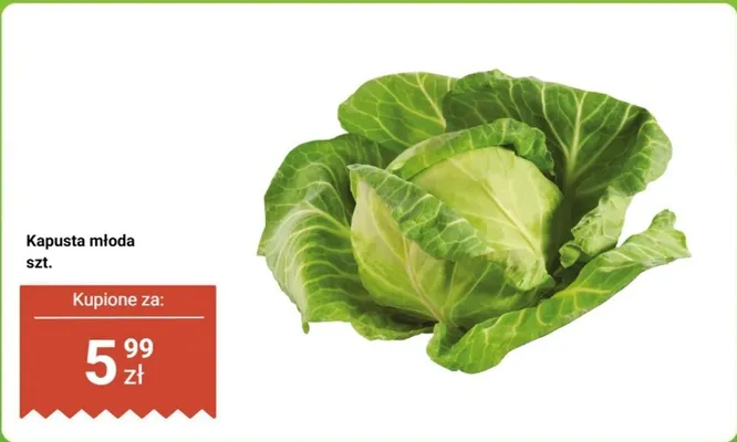 Kapusta młoda 1szt. promocja w Dino