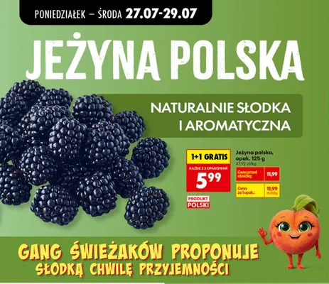 Jeżyna polska promocja w Biedronka