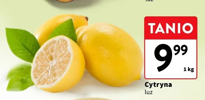 Cytryna luz promocja w Intermarche