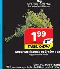Koper do kiszenia ogórków promocja w Delfin