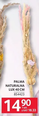 Palma naturalna lux 40 cm promocja w Selgros
