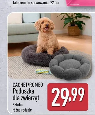 Poduszka dla zwierząt CACHET/ROMEO promocja w Aldi