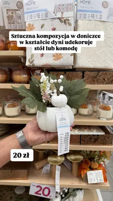 Zakupowe Inspiracje w Pepco, strona 8 promocja w Pepco