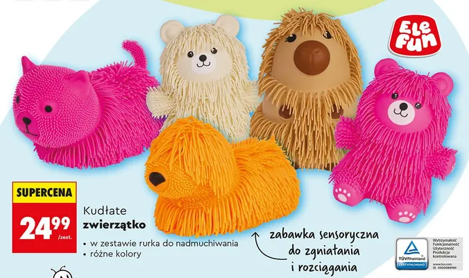 Kudłate zwierzątko promocja w Biedronka