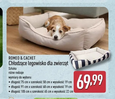 Chłodzące legowisko dla zwierząt Romeo & Cachet promocja w Aldi