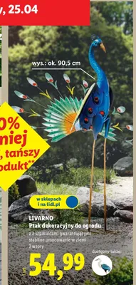 Ptak dekoracyjny do ogrodu promocja w Lidl