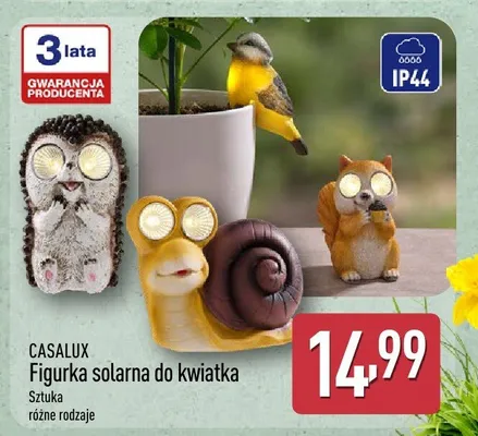 Figurka solarna do kwiatka promocja w Aldi