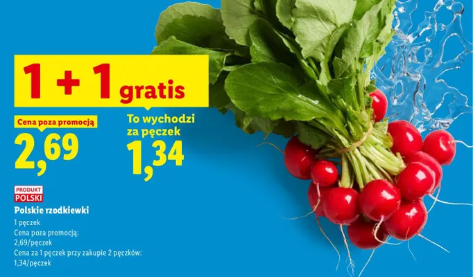 Rzodkiewki polskie promocja w Lidl