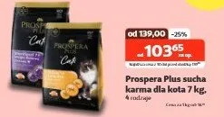 Sucha karma dla kota - cena od: promocja w KAKADU