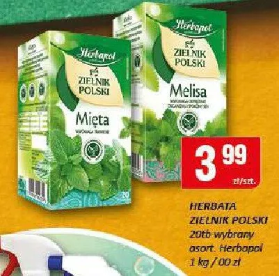 Herbata zielenie polski promocja w Chorten
